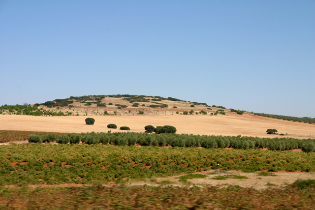 Countryside outside Valdepenas, 10-3-09