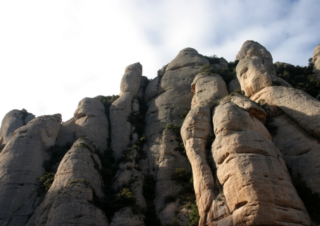 Craggy mountain, 1-30-10