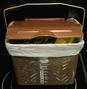 compost basket, feb 2010